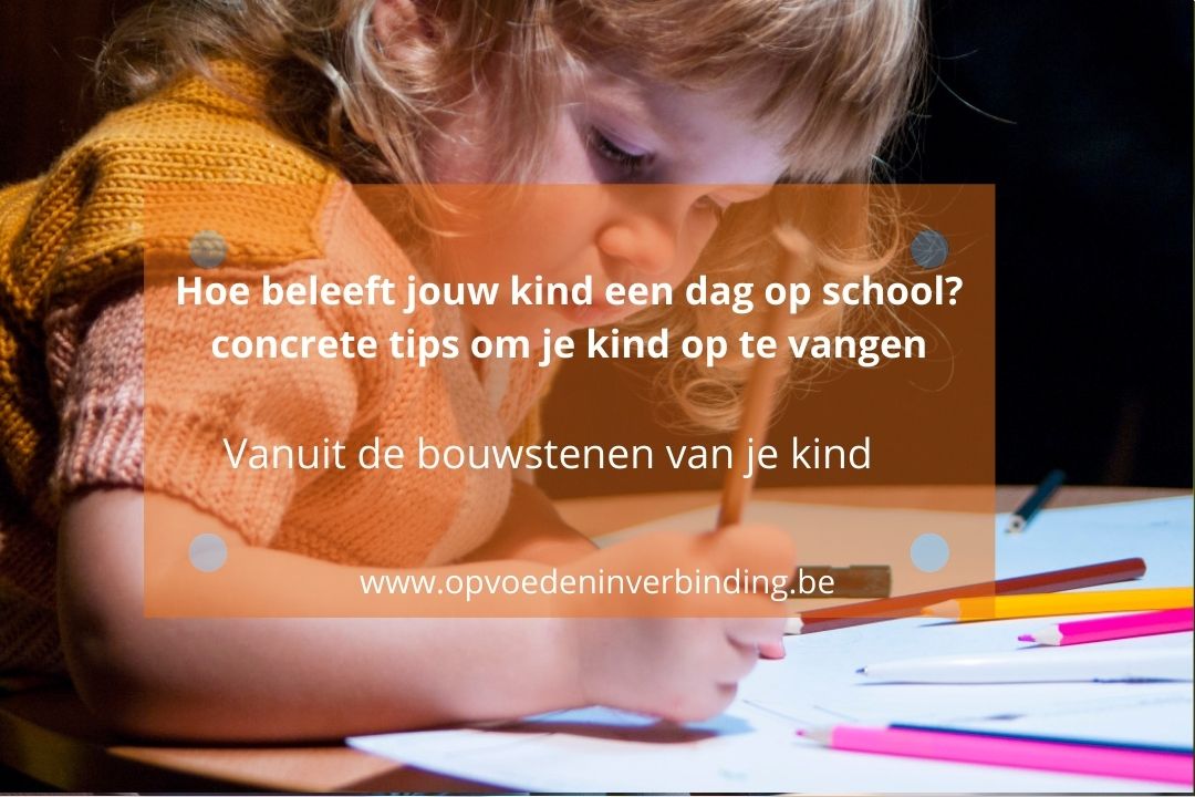 Hoe beleeft jouw kind een schooldag - vanuit zijn bouwstenen